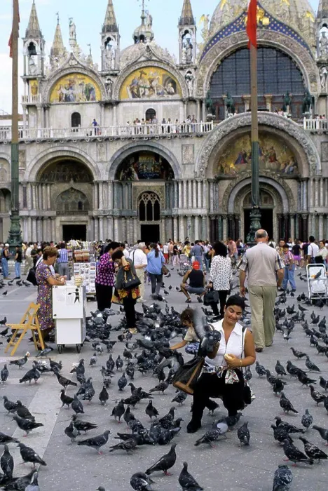 Framed Print : Italy, Venice, San Marco Quarter, St, Mark's Square, St. Mark's cathedral, Tourist feeding pigeons Framed Print : Italy, Venice, San Marco Quarter, St, Mark's Square, St. Mark's cathedral, Tourist feeding pigeons
