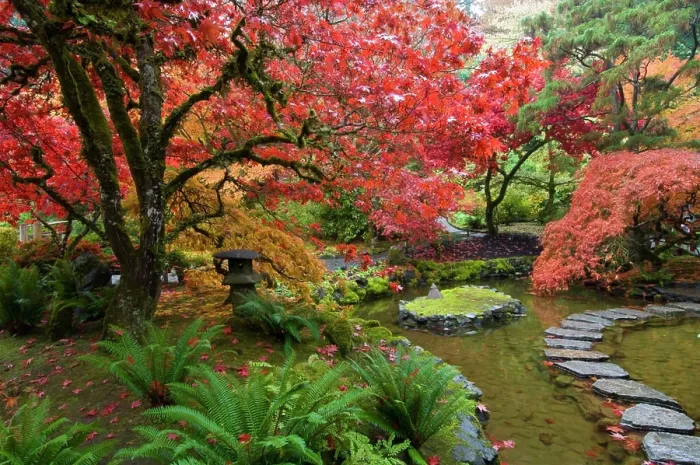 Framed Print : Japanese Garden in autumn at the Butchart Gardens, Victoria, Vancouver Island, British Columbia, Canada Framed Print : Japanese Garden in autumn at the Butchart Gardens, Victoria, Vancouver Island, British Columbia, Canada