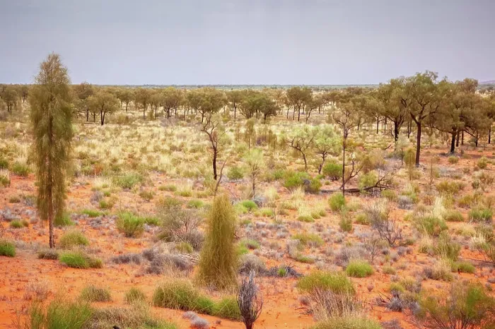 Framed Print : landscape scenery of the Australia outback An image of a landscape scenery of the Australia outback Copyright: xZoonar Framed Print : landscape scenery of the Australia outback An image of a landscape scenery of the Australia outback Copyright: xZoonar