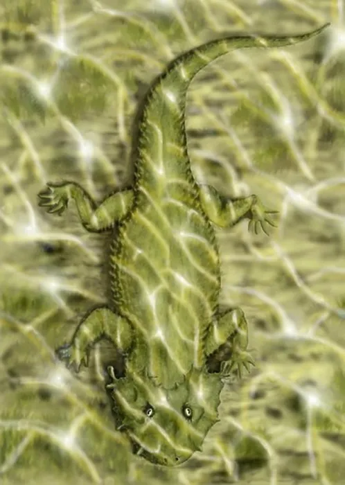 Framed Print : Lanthanosuchus, an extinct genus of parareptile from the Late Permian period Framed Print : Lanthanosuchus, an extinct genus of parareptile from the Late Permian period