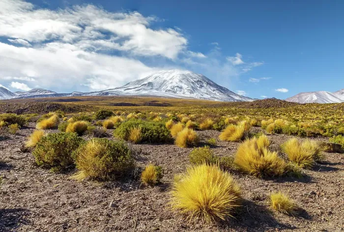Framed Print : Lascar volcano in Chile Framed Print : Lascar volcano in Chile