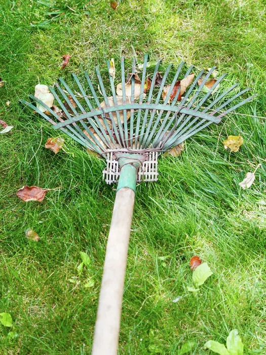 Framed Print : lawn care with rake lawn care with the help of rake Copyright: xZoonar.com / ValeryxVoennyyx 7496182 Framed Print : lawn care with rake lawn care with the help of rake Copyright: xZoonar.com / ValeryxVoennyyx 7496182
