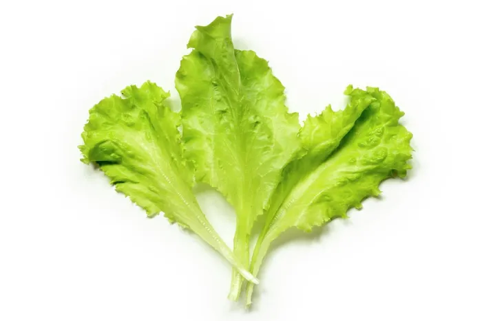 Framed Print : three Lettuce leaves three fresh green Lettuce leaves isolated on white Copyright: xZoonar.com / YuryxZapx 13446397