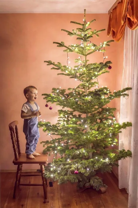 Framed Print : little boy in awe looking at christmas tree for the first time Framed Print : little boy in awe looking at christmas tree for the first time
