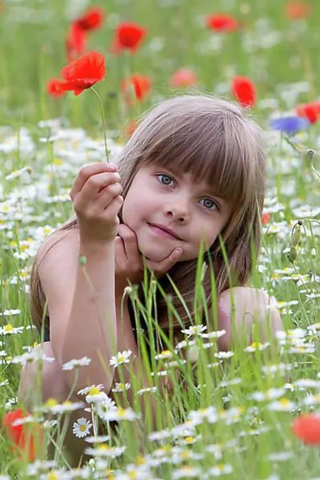 Framed Print : Little girl sitting in a wildflower meadow Framed Print : Little girl sitting in a wildflower meadow