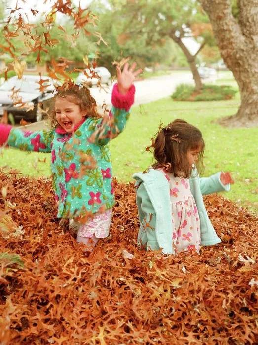 Framed Print : Little girls playing in the autumn leaves Framed Print : Little girls playing in the autumn leaves