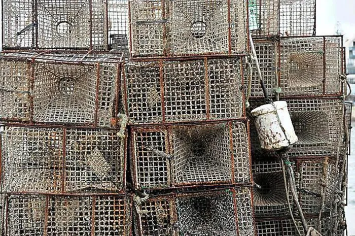 Framed Print : Lobster pots, harbour, Cascais, Lisbon, Portugal, Europe Framed Print : Lobster pots, harbour, Cascais, Lisbon, Portugal, Europe