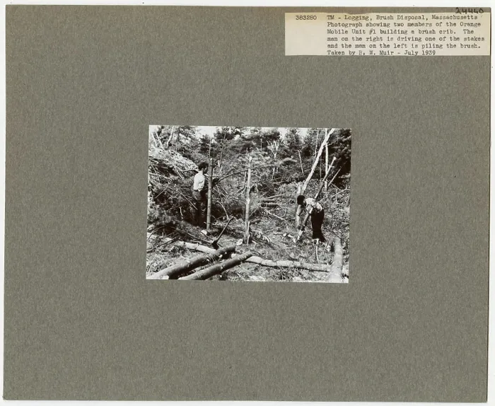 Framed Print : Logging: Brush Disposal - Massachusetts