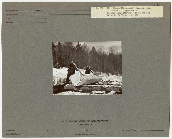 Framed Print : Logging Camps and Crews - Vermont Framed Print : Logging Camps and Crews - Vermont