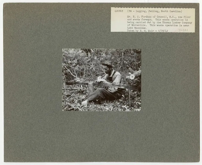 Framed Print : Logging: Felling - North Carolina