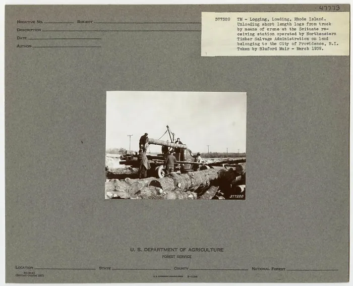 Framed Print : Logging: Loading Logs - Rhode Island Framed Print : Logging: Loading Logs - Rhode Island