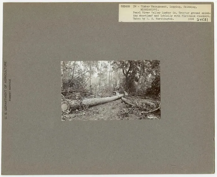 Framed Print : Logging: Skidding with Tractors - Mississippi Framed Print : Logging: Skidding with Tractors - Mississippi