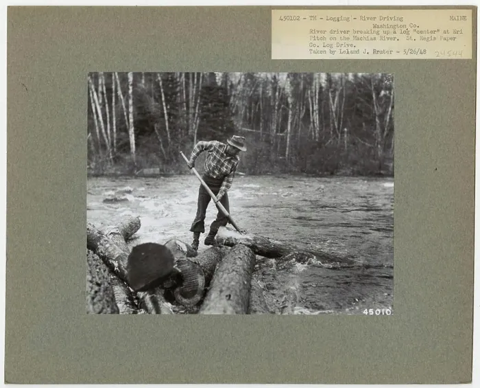 Framed Print : Logging: Transportation: Log Drive - Maine Framed Print : Logging: Transportation: Log Drive - Maine