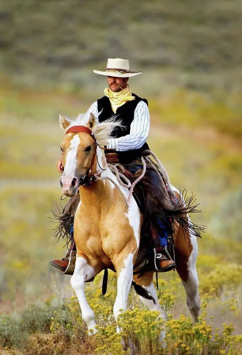 Framed Print : lonely cowboy with old fashioned mustache rides his beautiful horse through a colorful field of wildflowers