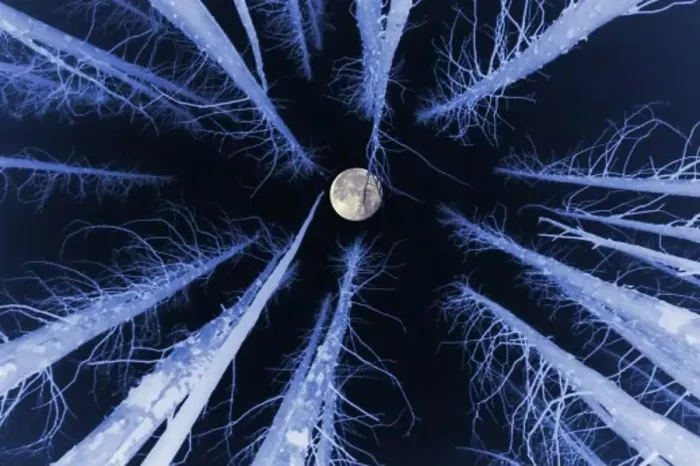 Framed Print : Low angle view of the moon Framed Print : Low angle view of the moon