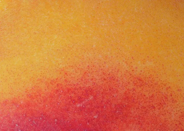 Framed Print : Macro photography of the skin of an organic peach Framed Print : Macro photography of the skin of an organic peach