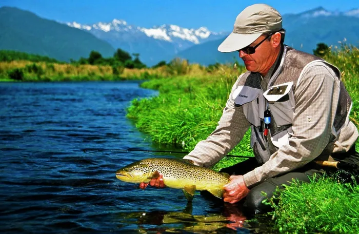 Framed Print : Man holding brown trout, Spring Creek, South Island, New Zealand Framed Print : Man holding brown trout, Spring Creek, South Island, New Zealand