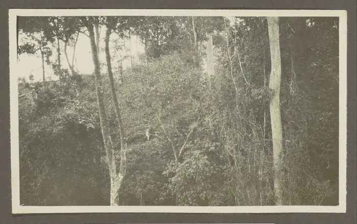 Framed Print : Man in tropical clothing on a mountain slope Framed Print : Man in tropical clothing on a mountain slope