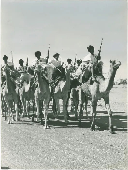 Framed Print : Mauritanian army Meharists on dromedaries in the desert, elite troops for police units Framed Print : Mauritanian army Meharists on dromedaries in the desert, elite troops for police units