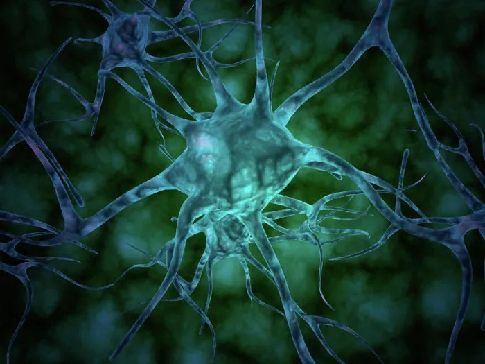 Framed Print : Microscopic view of multiple nerve cells