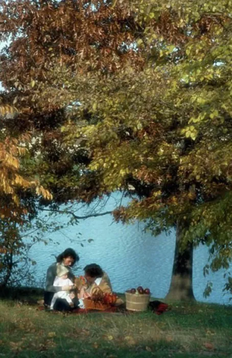 Framed Print : Mid adult couple with their child sitting at a lakeside