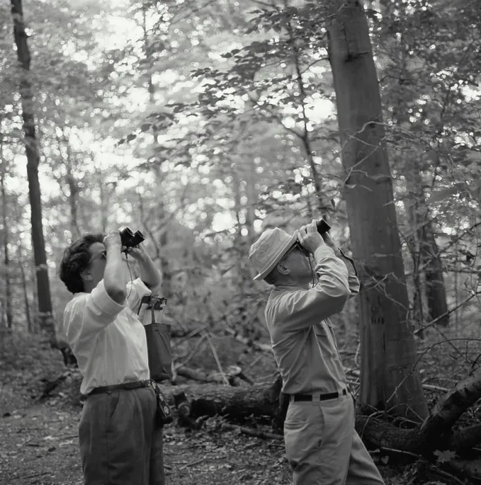 Framed Print : Mid adult couple looking through binoculars in a forest Framed Print : Mid adult couple looking through binoculars in a forest