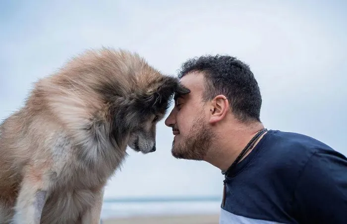 Framed Print : Mid adult man head to head with dog at beach against sky Framed Print : Mid adult man head to head with dog at beach against sky