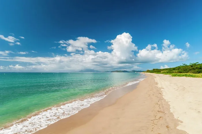 Framed Print : The miles long Pinney's Beach fronting the Caribbean Sea. Nevis, Saint Kitts and Nevis, West Indies Framed Print : The miles long Pinney's Beach fronting the Caribbean Sea. Nevis, Saint Kitts and Nevis, West Indies