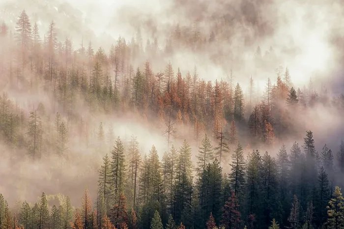 Framed Print : Misty Morning. Seen from Tunnel View. Yosemite National Park, California