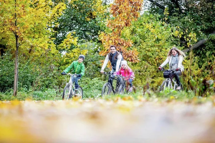 Framed Print : MODEL RELEASED. Family cycling together in autumn Framed Print : MODEL RELEASED. Family cycling together in autumn