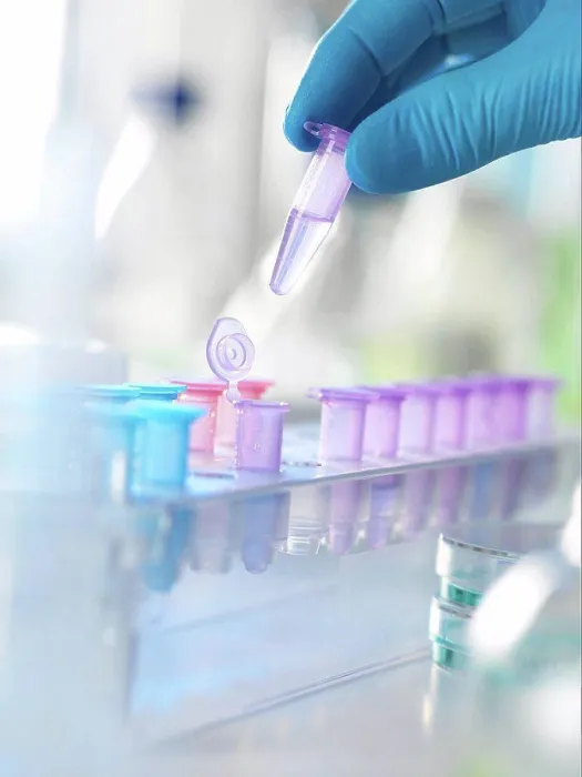Framed Print : MODEL RELEASED. Scientist holding a vial containing a specimen ready for analysis in a laboratory Framed Print : MODEL RELEASED. Scientist holding a vial containing a specimen ready for analysis in a laboratory