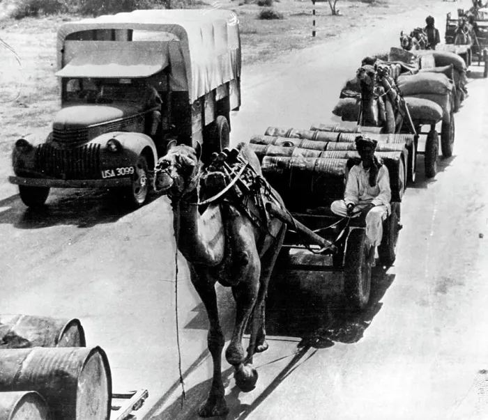 Framed Print : A modern truck passes a camel both ***** with materials for U.S. troops in India. January 17, 1943 Framed Print : A modern truck passes a camel both ***** with materials for U.S. troops in India. January 17, 1943