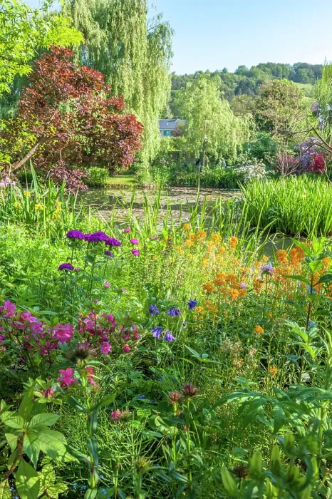 Framed Print : Monet's garden, Giverny, Normandy, France Framed Print : Monet's garden, Giverny, Normandy, France