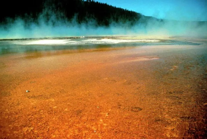 Framed Print : Montana. Yellowstone National Park