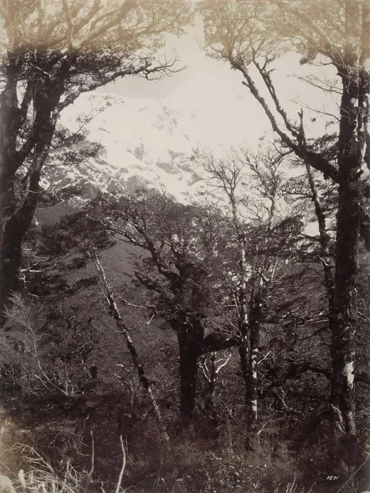 Framed Print : Mount Rolleston, 1880s, by Burton Brothers Framed Print : Mount Rolleston, 1880s, by Burton Brothers