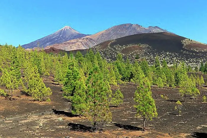 Framed Print : Mount Tiede, volcano, Pico Viejo, Teide National Park, Canary Islands, Tenerife, Spain, Europe Framed Print : Mount Tiede, volcano, Pico Viejo, Teide National Park, Canary Islands, Tenerife, Spain, Europe