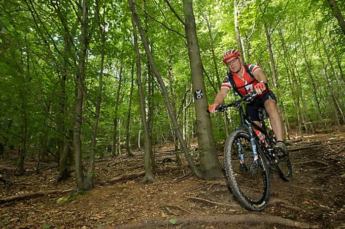 Framed Print : Mountain bike rider riding along a root singletrail near Willingen, Hesse, Germany, Europe Framed Print : Mountain bike rider riding along a root singletrail near Willingen, Hesse, Germany, Europe