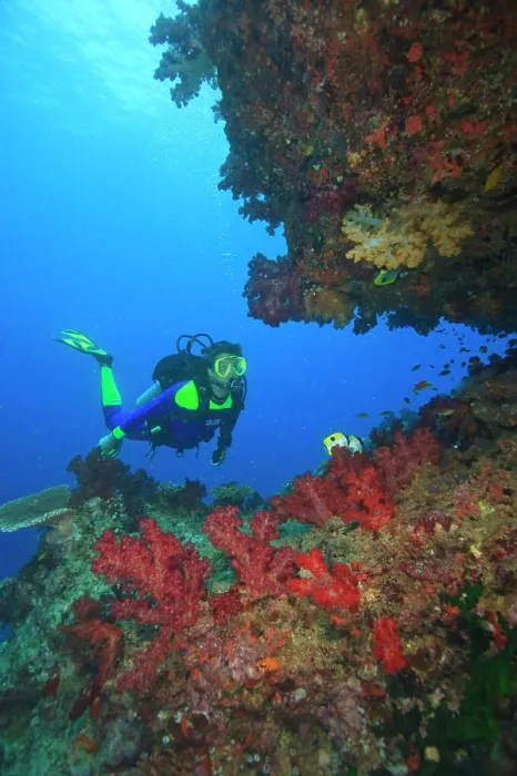 Framed Print : MR Diver near large Soft Coral-lined underwater Arch near Beqa Island off Southern Viti Levu, Fiji, South Pacific Framed Print : MR Diver near large Soft Coral-lined underwater Arch near Beqa Island off Southern Viti Levu, Fiji, South Pacific
