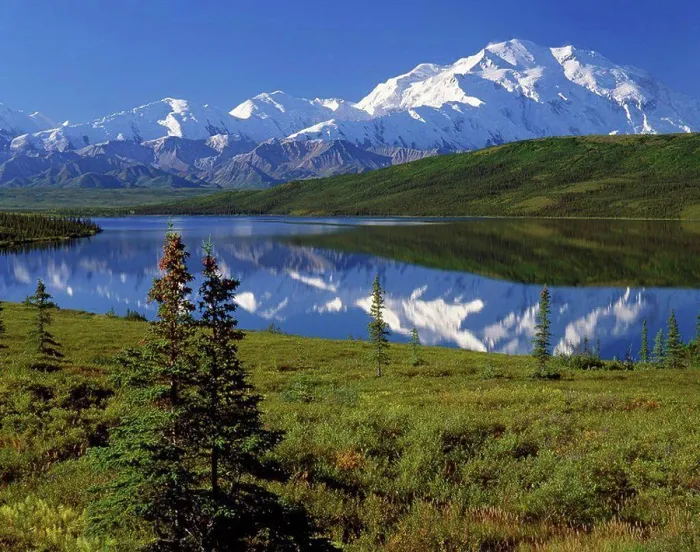Framed Print : Mt McKinley Wonder Lake Summer Denali NP Interior AK