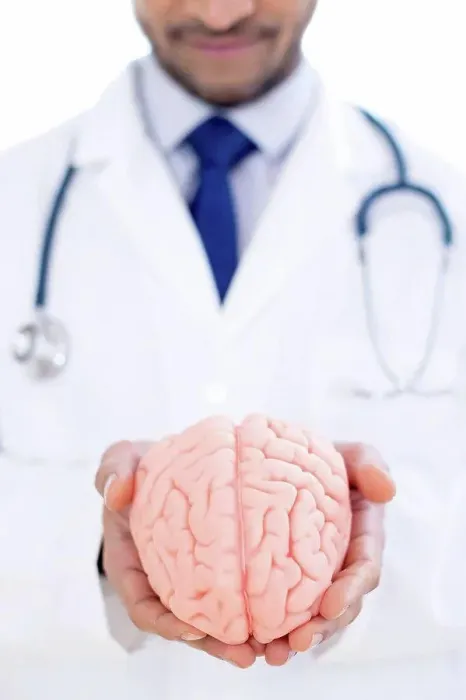 Framed Print : Neurologist holding brain model, close-up Framed Print : Neurologist holding brain model, close-up