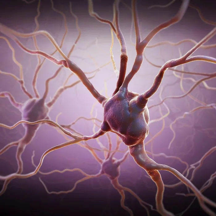 Framed Print : Neurons and extensions connecting to other neurons