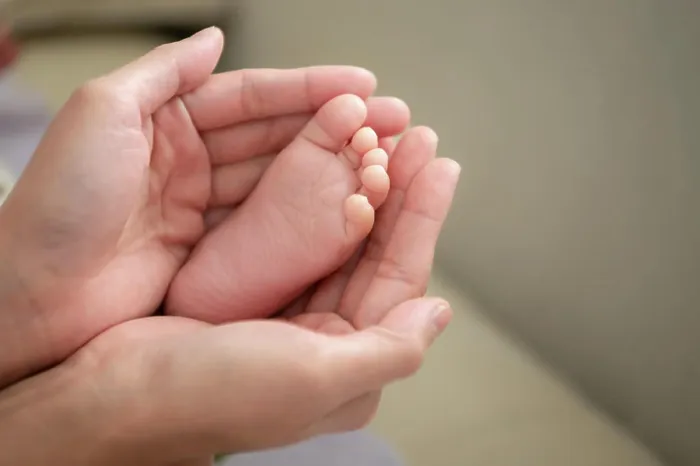 Framed Print : A newborn babys small feet and its mothers hands A newborn babys small feet and its mothers hands Framed Print : A newborn babys small feet and its mothers hands A newborn babys small feet and its mothers hands