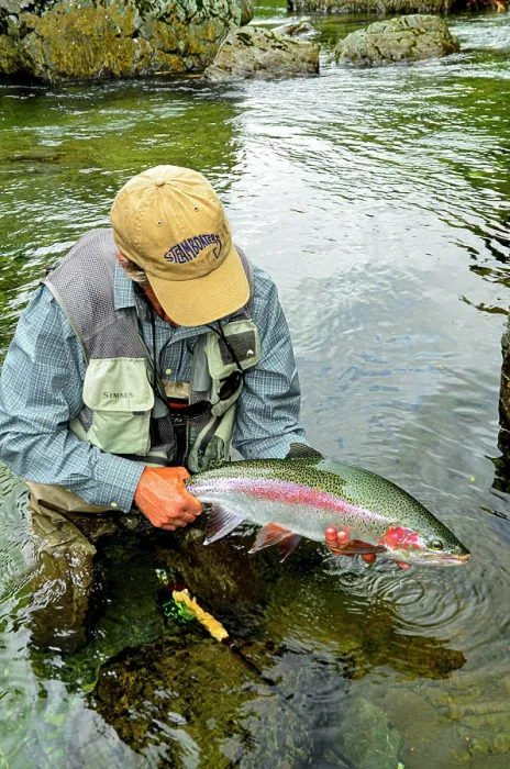 Framed Print : A nice rainbow trout from a backcountry river in N.Z Framed Print : A nice rainbow trout from a backcountry river in N.Z