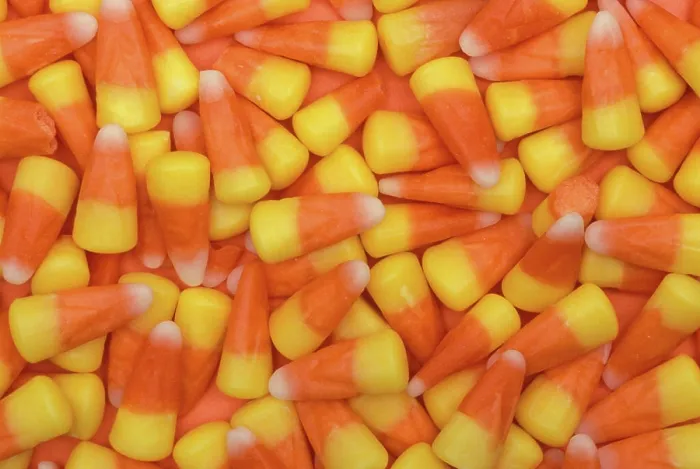 Framed Print : North America, USA, WA, Redmond, candy corn patter