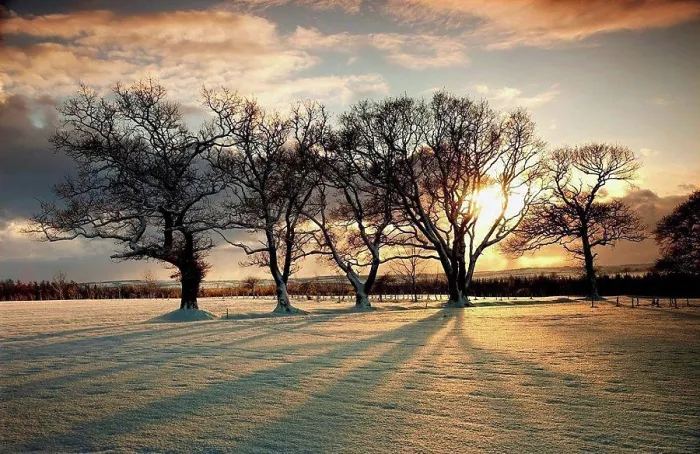 Framed Print : northumberland, england, sun setting over a field and trees