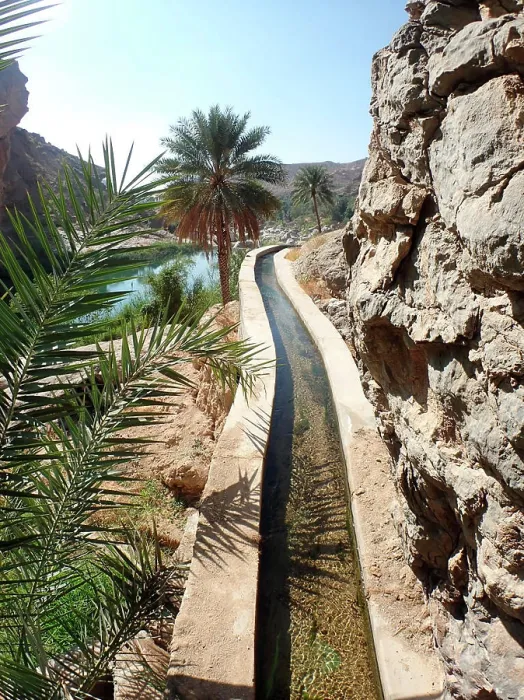 Framed Print : Oman, Wadi bani Khalid, a water canal called falaj in the middle of palm trees Framed Print : Oman, Wadi bani Khalid, a water canal called falaj in the middle of palm trees