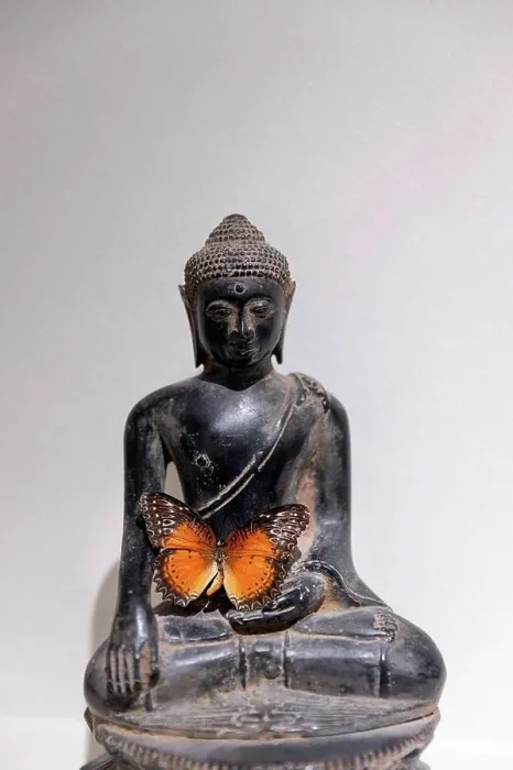Framed Print : Orange butterfly on a Buddha figure
