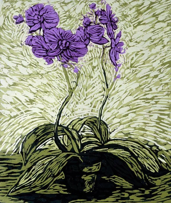 Framed Print : Orchids by Barry Wilson, woodcut print, (born 1961) Framed Print : Orchids by Barry Wilson, woodcut print, (born 1961)