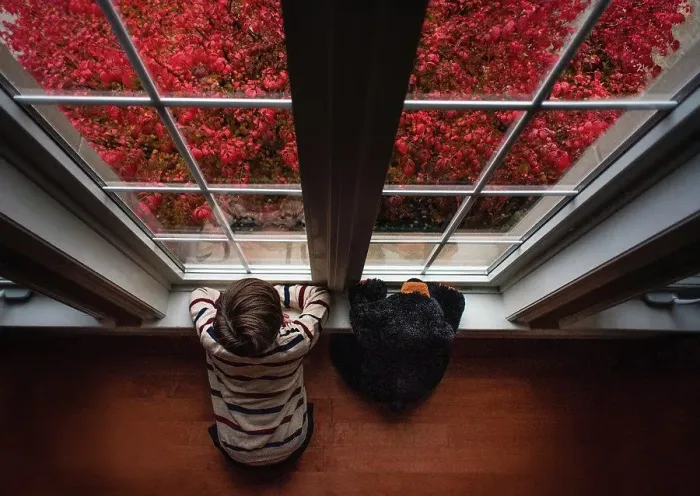 Framed Print : Overhead of boy and teddy bear looking out window on fall day