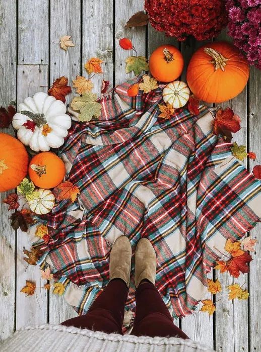 Framed Print : Overhead view of woman's feet on plaid scarf surrounded by fall items Framed Print : Overhead view of woman's feet on plaid scarf surrounded by fall items